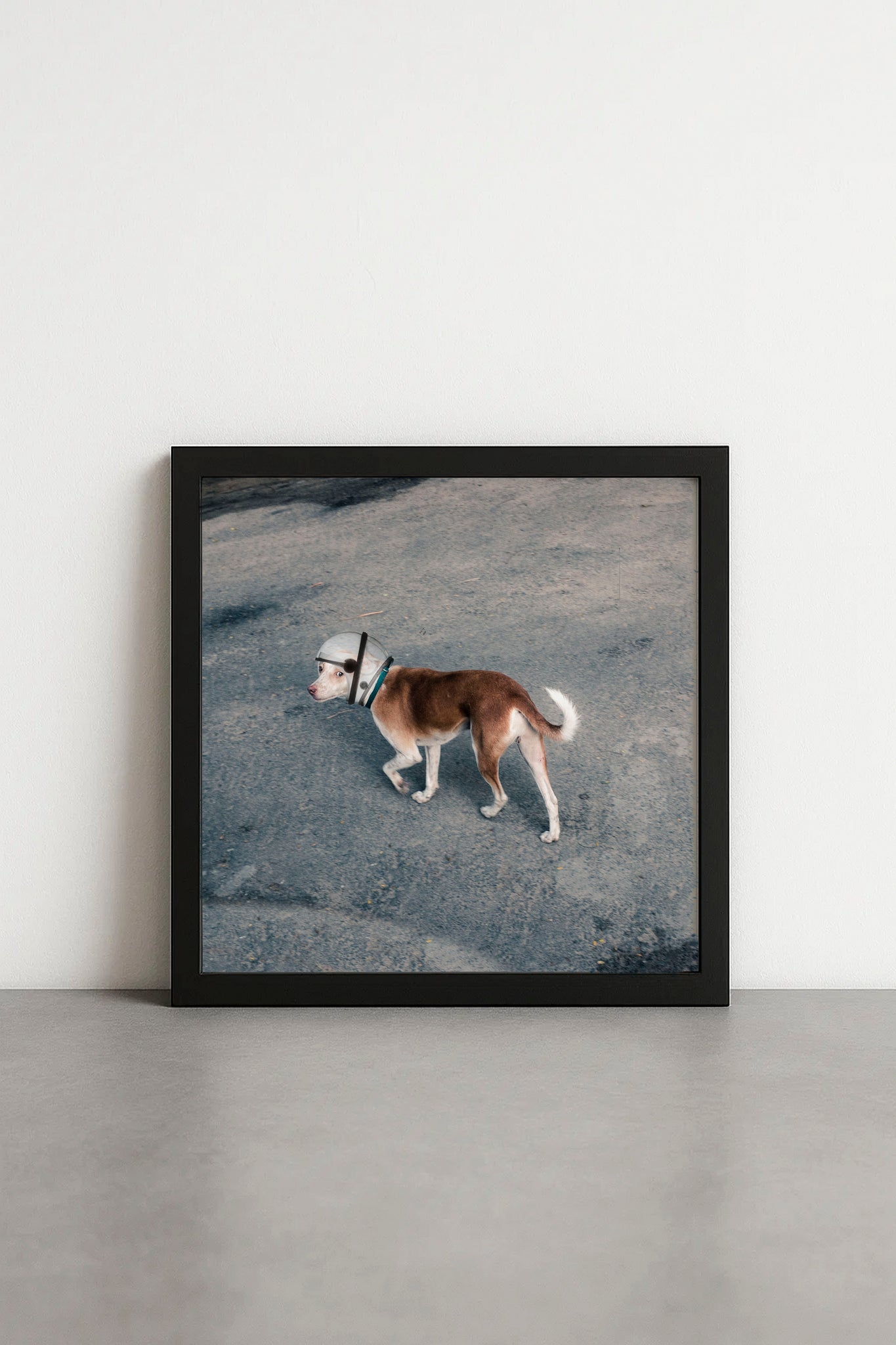 Space Dog